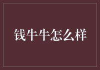 钱牛牛真的适合你吗？深度解析其优势与局限！