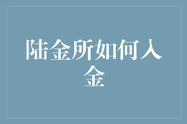 陆金所如何入金