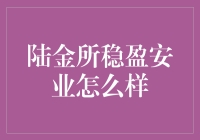 陆金所稳盈安业？别逗了，那是啥玩意儿？