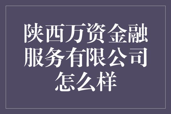 陕西万资金融服务有限公司怎么样