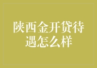 陕西金开贷待遇剖析：构建金融创新与专业成长的桥梁