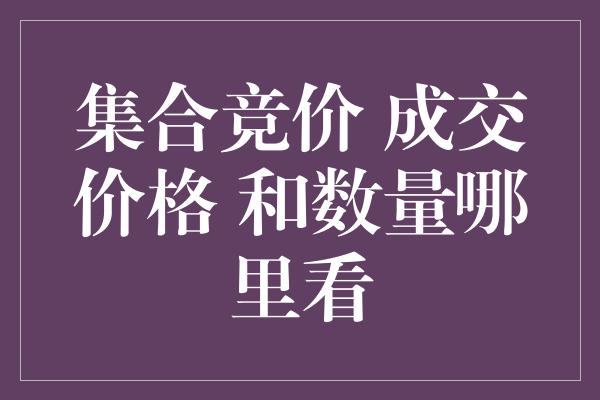 集合竞价 成交价格 和数量哪里看