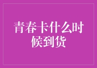 青春卡：解锁未来科技的钥匙，何时交到你手中？