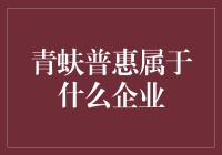 青蚨普惠：金融科技领域的创新先锋企业