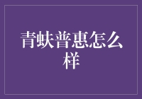 青蚨普惠：普惠金融的先锋实践者