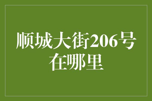 顺城大街206号在哪里