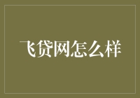 飞贷网：你的口袋里的贷款小能手，带给你不一样的金融体验