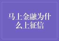 马上金融上征信：构建信用体系的新篇章