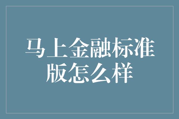 马上金融标准版怎么样