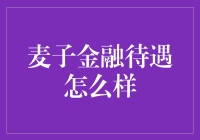 麦子金融待遇揭秘：行业分析与员工体验深度探讨