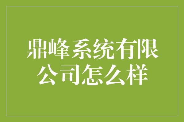 鼎峰系统有限公司怎么样