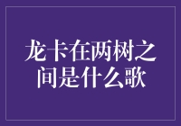 「龙卡在两树之间是什么歌？——揭秘投资理财的秘密旋律」