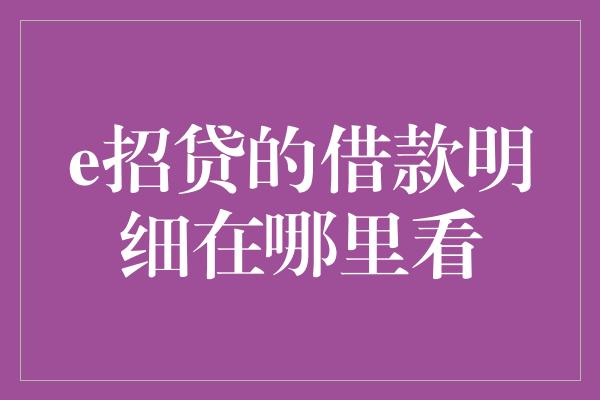 e招贷的借款明细在哪里看