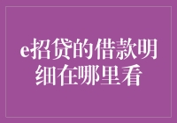 如何在e招贷平台查看借款明细？一份全面的指南