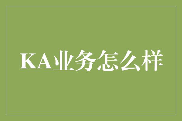 KA业务怎么样