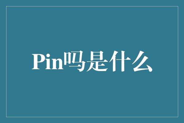 Pin吗是什么