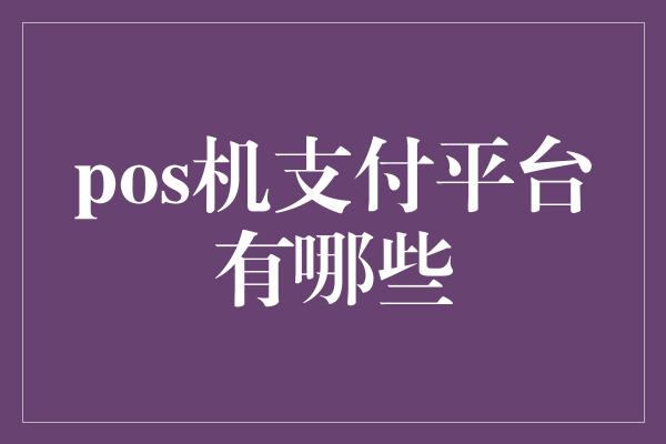 pos机支付平台有哪些