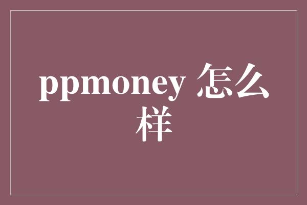 ppmoney 怎么样