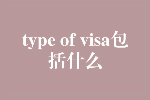 type of visa包括什么