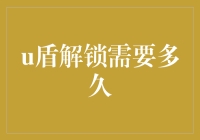 U盾解锁：安全与效率的双刃剑