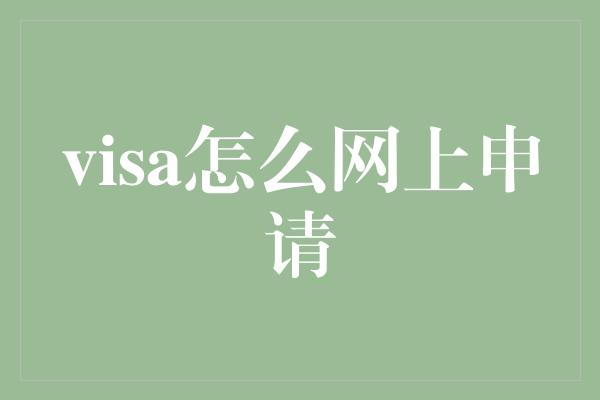 visa怎么网上申请