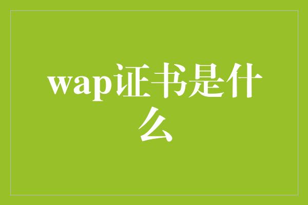 wap证书是什么